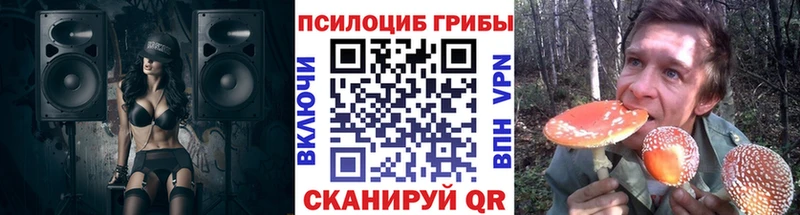 Псилоцибиновые грибы GOLDEN TEACHER  купить закладку  Курчалой 